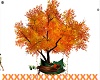 Romantic Fall Tree Swing