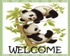 Panda Cubs Doormat