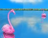 2 Lake Flamingos