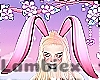 Bun Ears | Raspberry