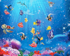 Nemo Kid Scaler Room