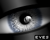 (PH) M/F: '24 SilverBell