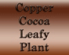 [CFD]Copper Cocoa Plt1