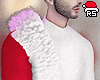 Santa's cardigan