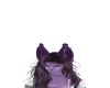 {LS} Purple Ears