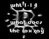 what does the fox say