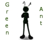 Green Ant