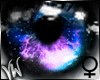 Nebula FEMALE