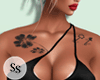 S-Caro Bundle V3