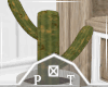 Small Cactus Plant Decor