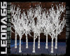 Eight Lighted BirchTrees