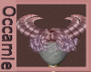 Amora Horns