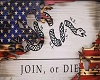 FH - Patriotic Art