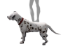 DALMATTAN DOG PET