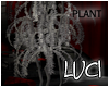 [LyL]X Potted Plant