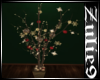 Christmas Plant