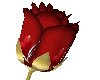 [JD]Valentine Give Rose