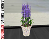 [ACS] POTTED LAVENDER