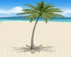 *3D* PALM ANIMATED