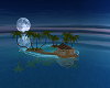 `LF` NIGHT OUT ISLAND