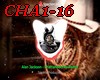 *X   CHA1-16- CUNTRY