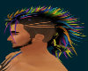 spiked rainbow 