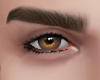 Realistic |light brown