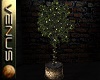 ~V~Ficus Tree w/lights