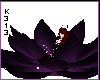 K313 Purple Lotus