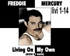 freddie mercury remix