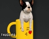 Coffee & Puppy