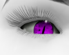 Vy: Purple Cat Eye