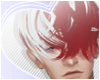 Todoroki Hair P2