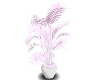 Pink and White Plant