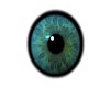 Aqua Blue/Green Eyes