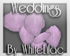 WL~ Lilac Falling Petals