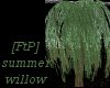 [FtP] Summer Willow