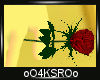 4K .:Handheld Rose:.