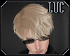 [luc] Croix Blonde