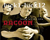 *AD*Racoon-Lucky all my 
