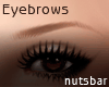 !!(n) brows soft brown 2