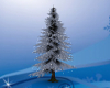 !T! Winter | Xmas Tree
