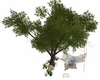 C*  TREE SWING 6P