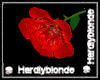 HB* Love's Red Silk Rose