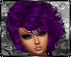 Hermusi Violet Hair