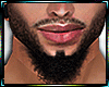 Goatee Beard