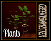 |bamz|Plants n stands