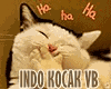 VB Pea Bau eek Funny