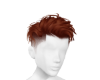 SHA AUBURN