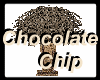 ChocolateChipCookiePlant